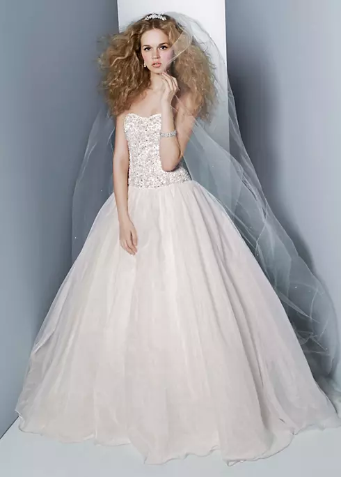 Organza Embroidered Bodice Ball Gown Image 1