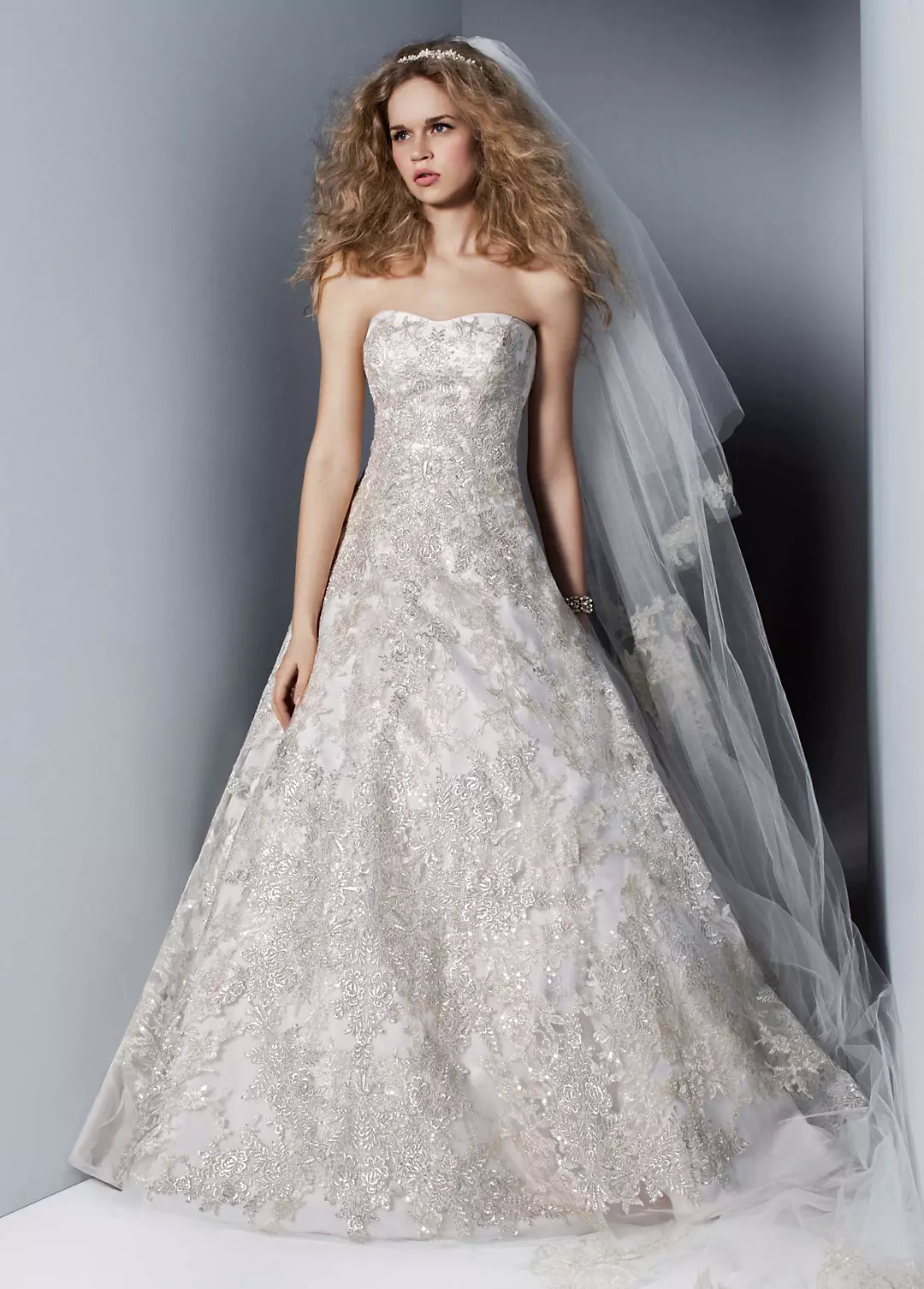 Mixed Metallic Lace Organza Ball Gown Image