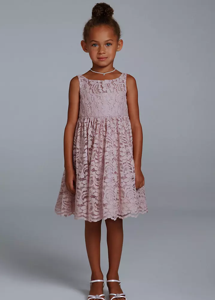 All Over Lace A-Line Dress with Illusion Neckline David's Bridal