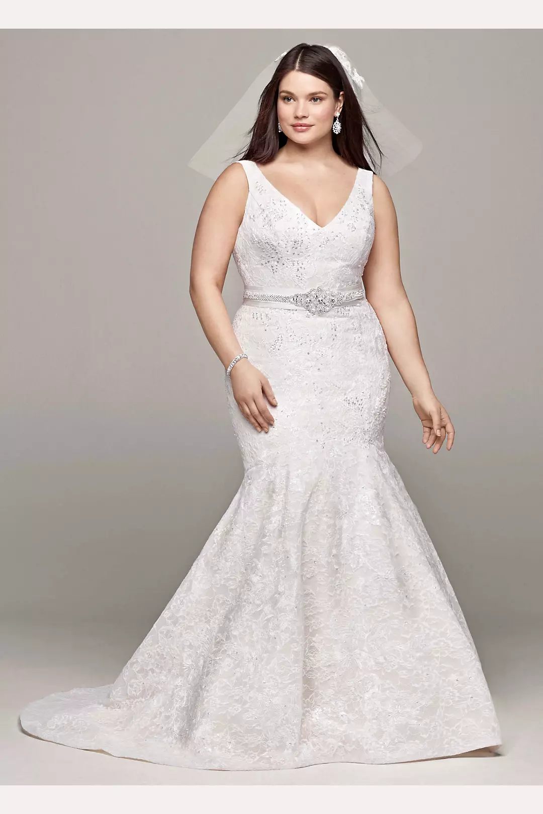 As-Is Lace and Deep V Neckline Wedding Dress  Image
