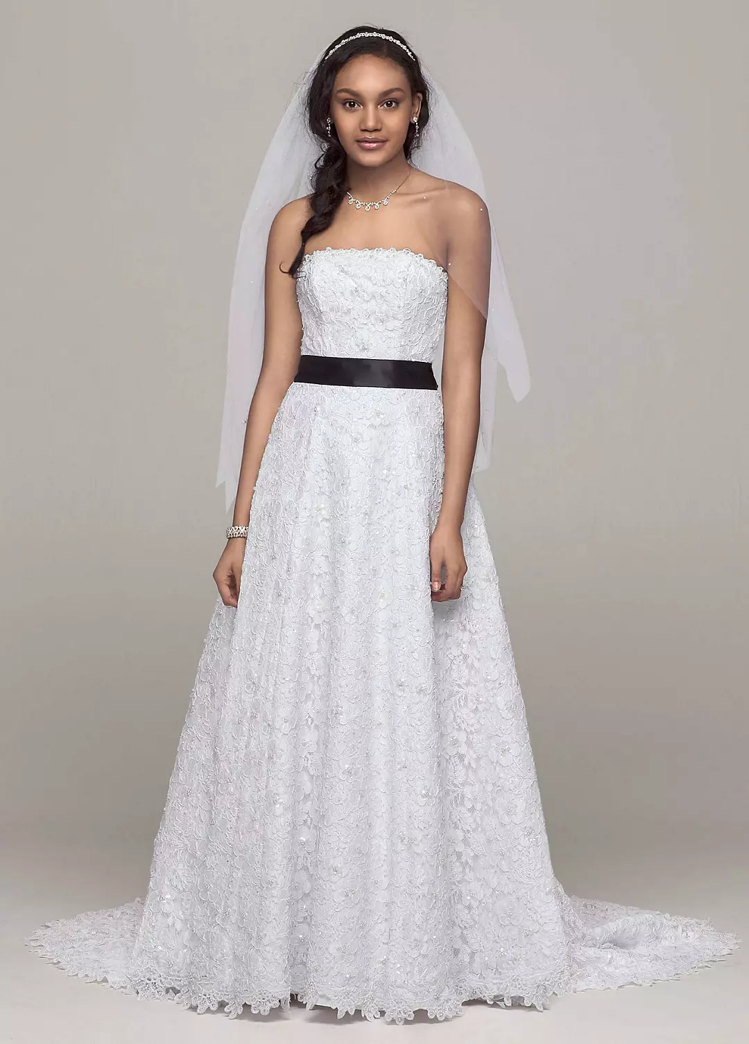 No Train All Over Beaded Corded Lace A-line Gown Image