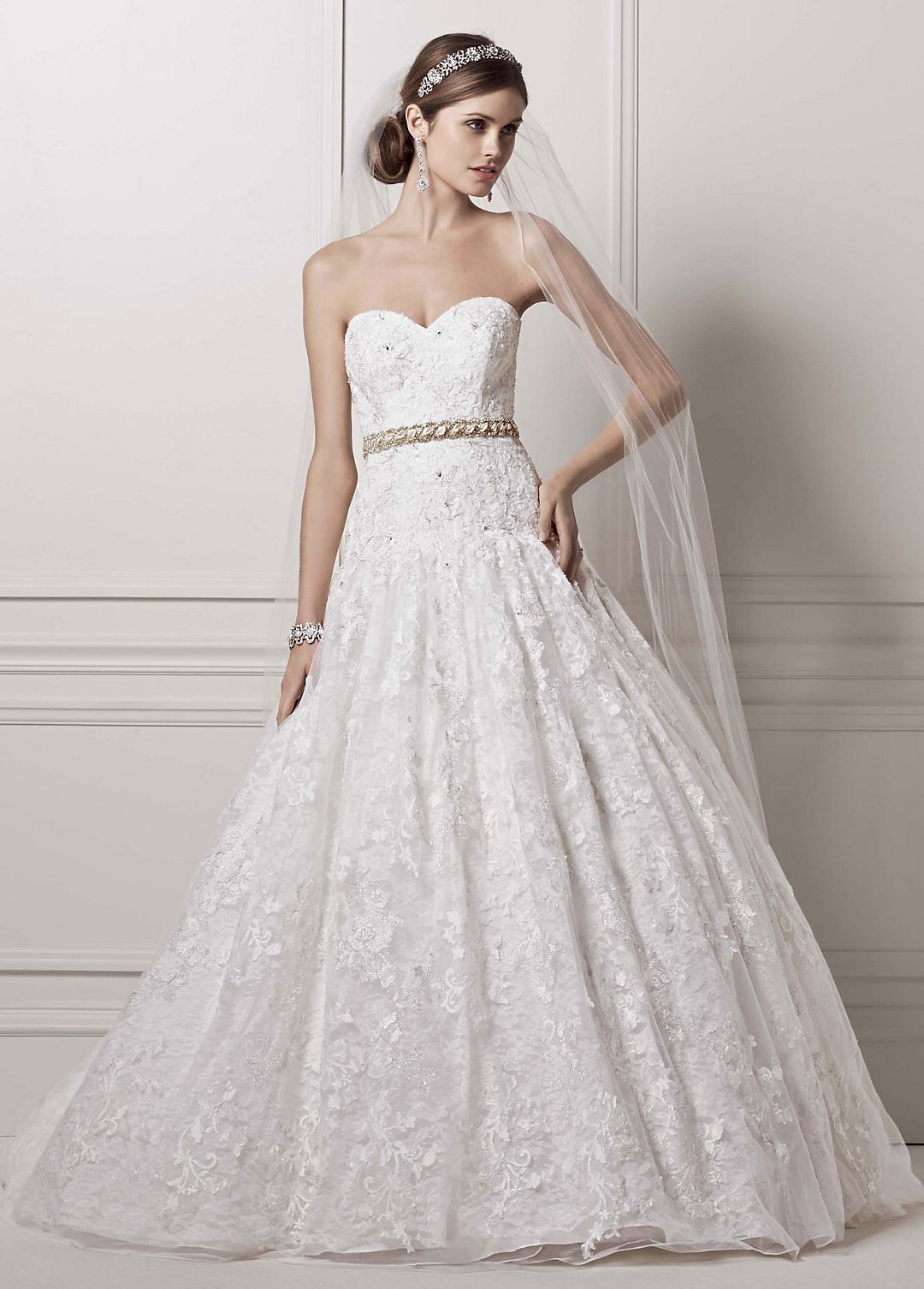 Strapless Ball Gown with All Over Lace Appliques Image 1