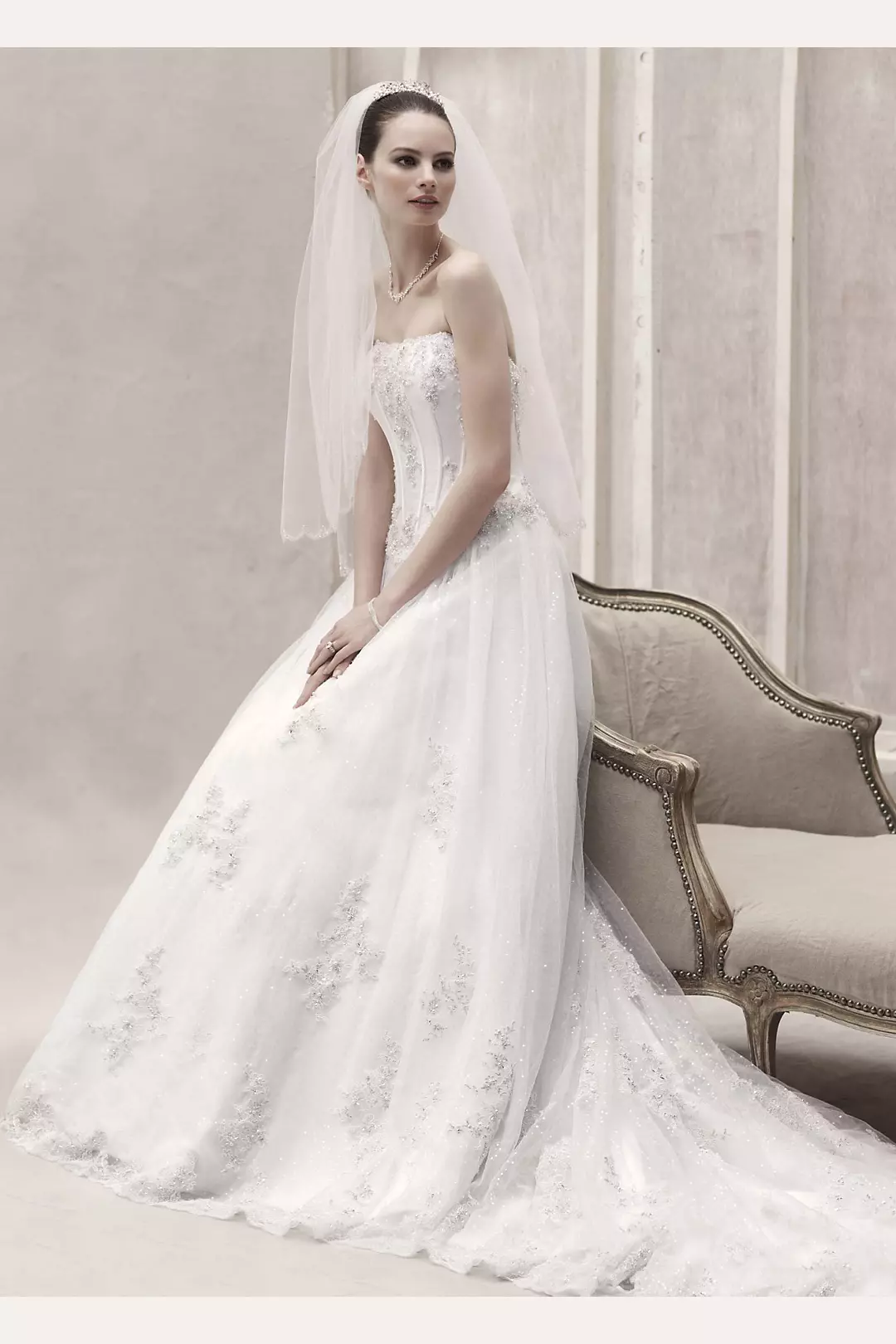 Strapless Organza Ball Gown with Lace Appliques Image