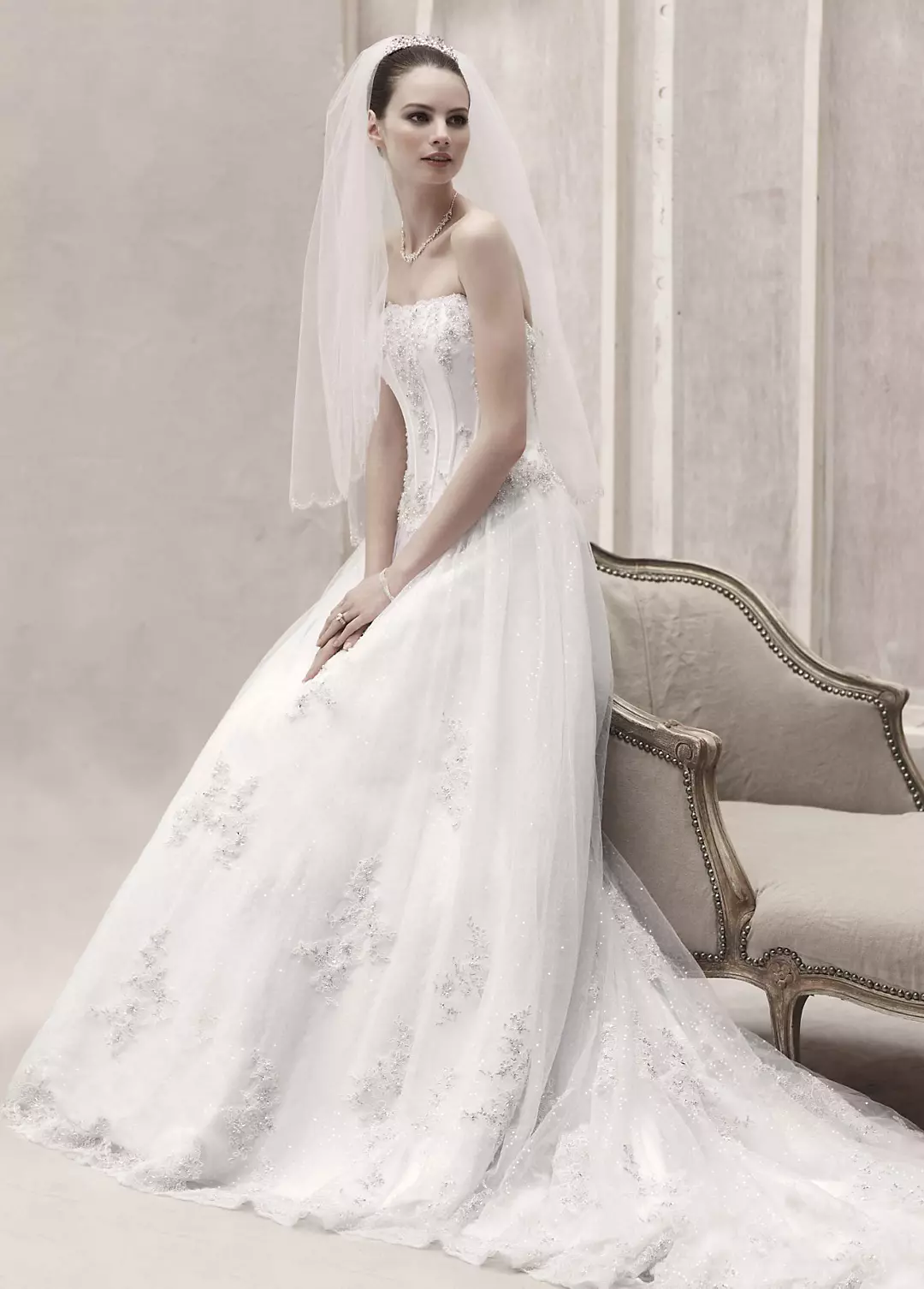Strapless Organza Ball Gown with Lace Appliques Image