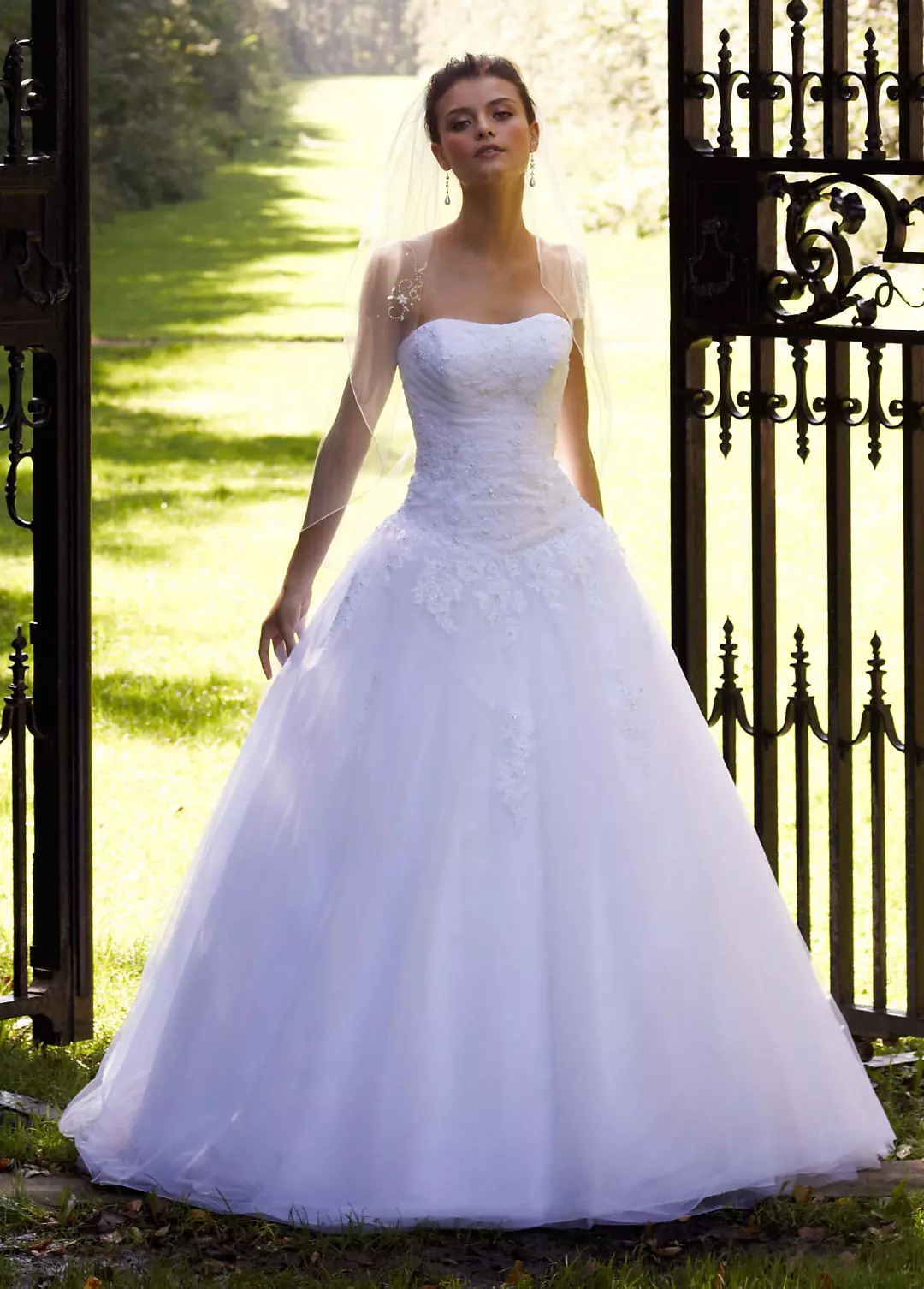Strapless Tulle Ball Gown with Lace Embellishments Image