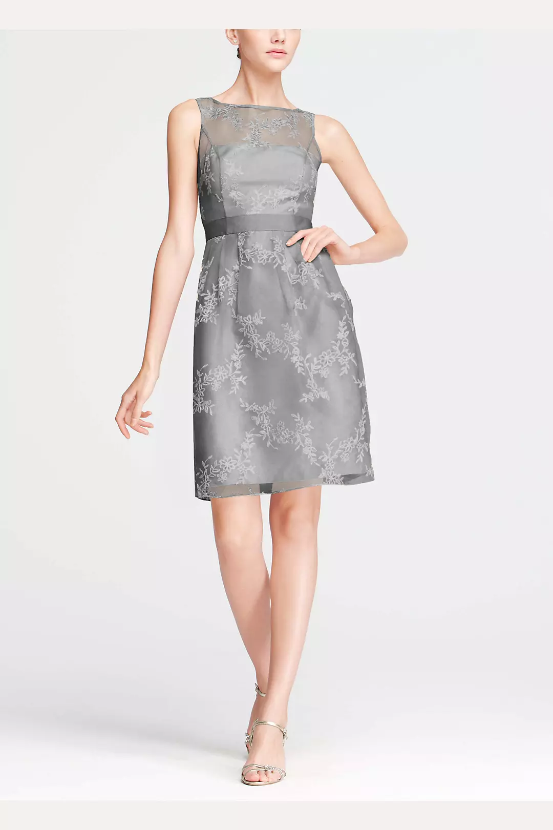 Short Sleeveless Organza Dress with Embroidery Image