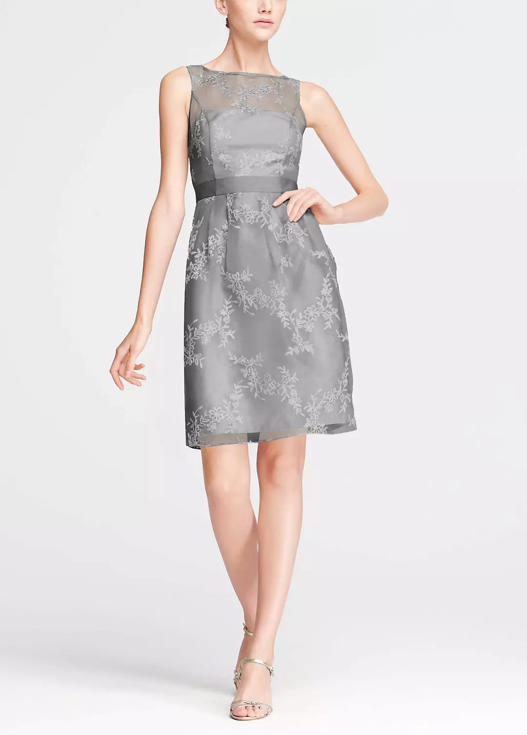 Short Sleeveless Organza Dress with Embroidery Image