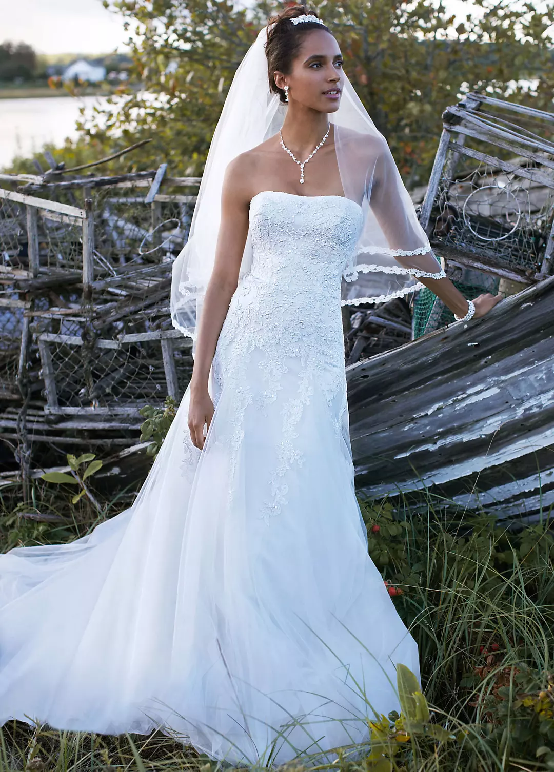 Strapless Tulle A-line Gown with Beaded Appliques Image