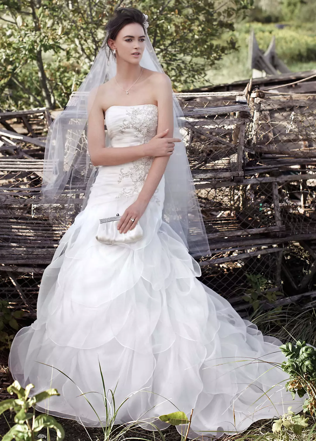 Organza Fit-and-Flare Gown with Drop Waist Image