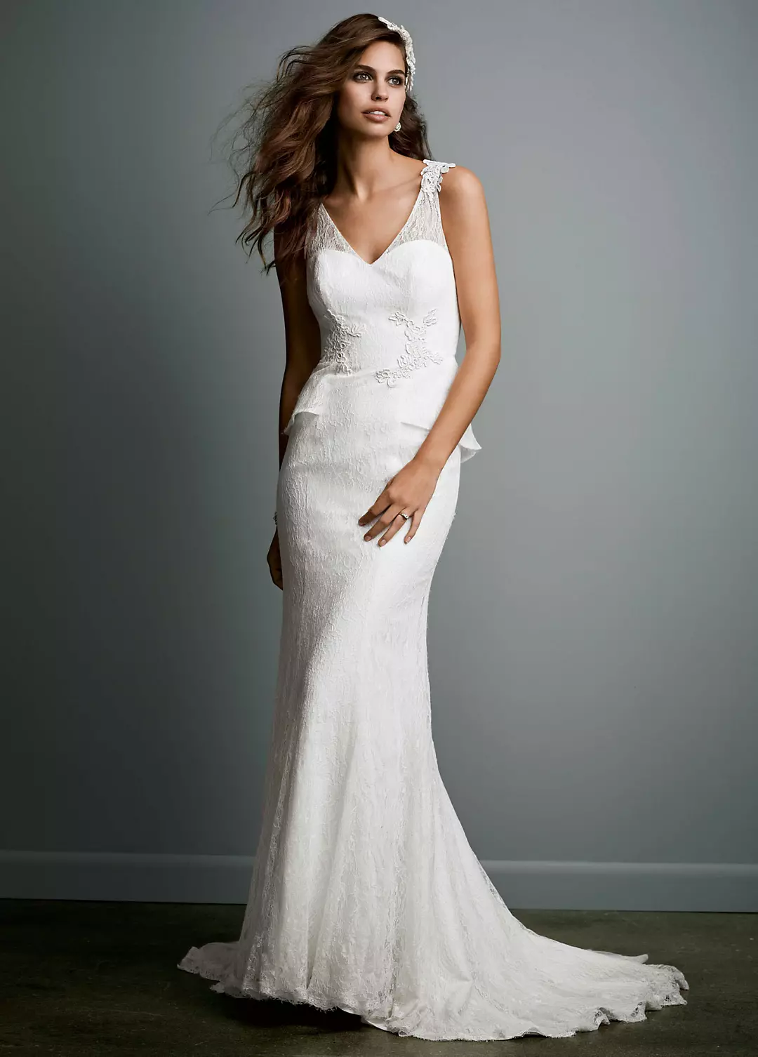 Sheath Lace Gown with V-Neck and Illusion Back Image