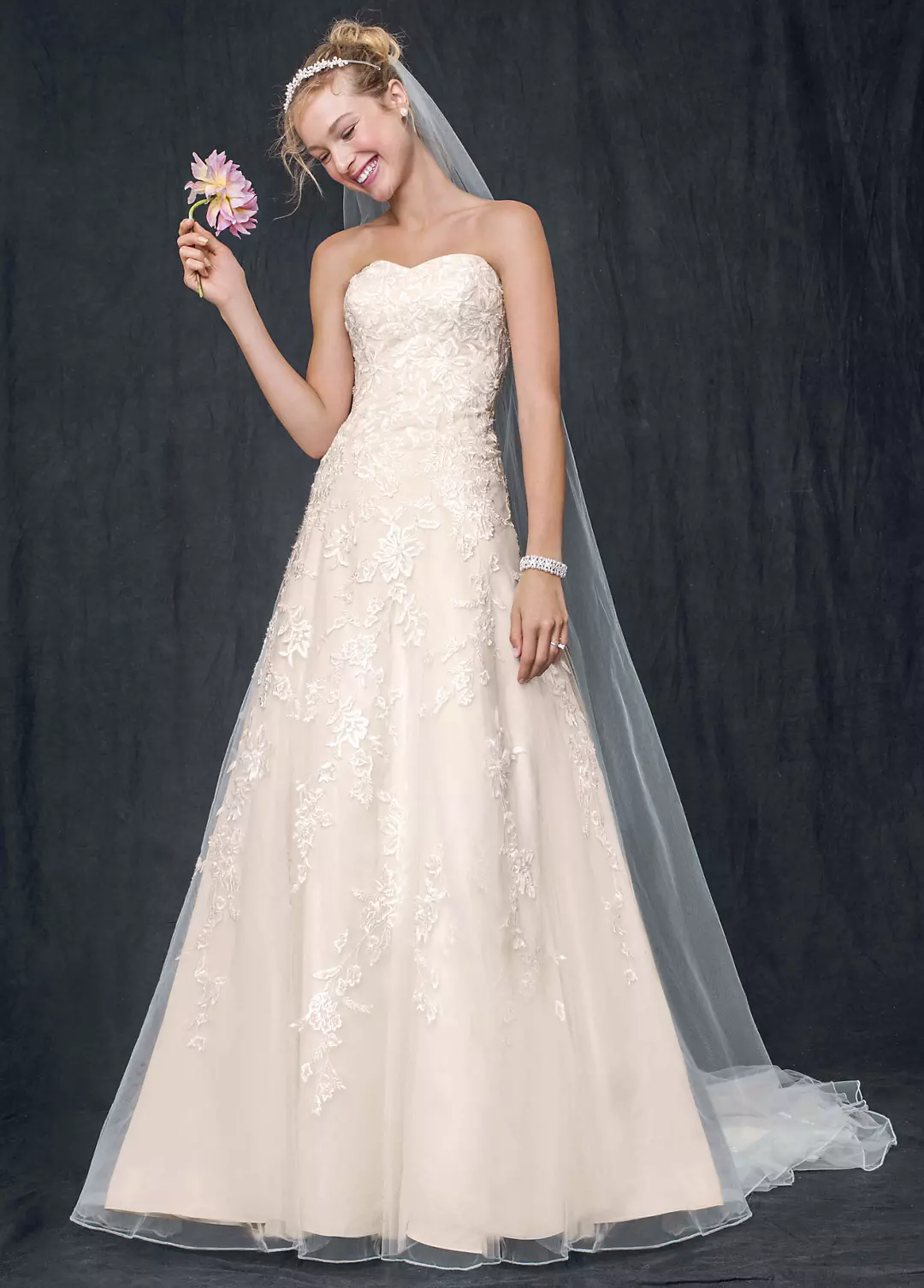 Sweetheart Tulle A Line Gown with Lace Appliques Image
