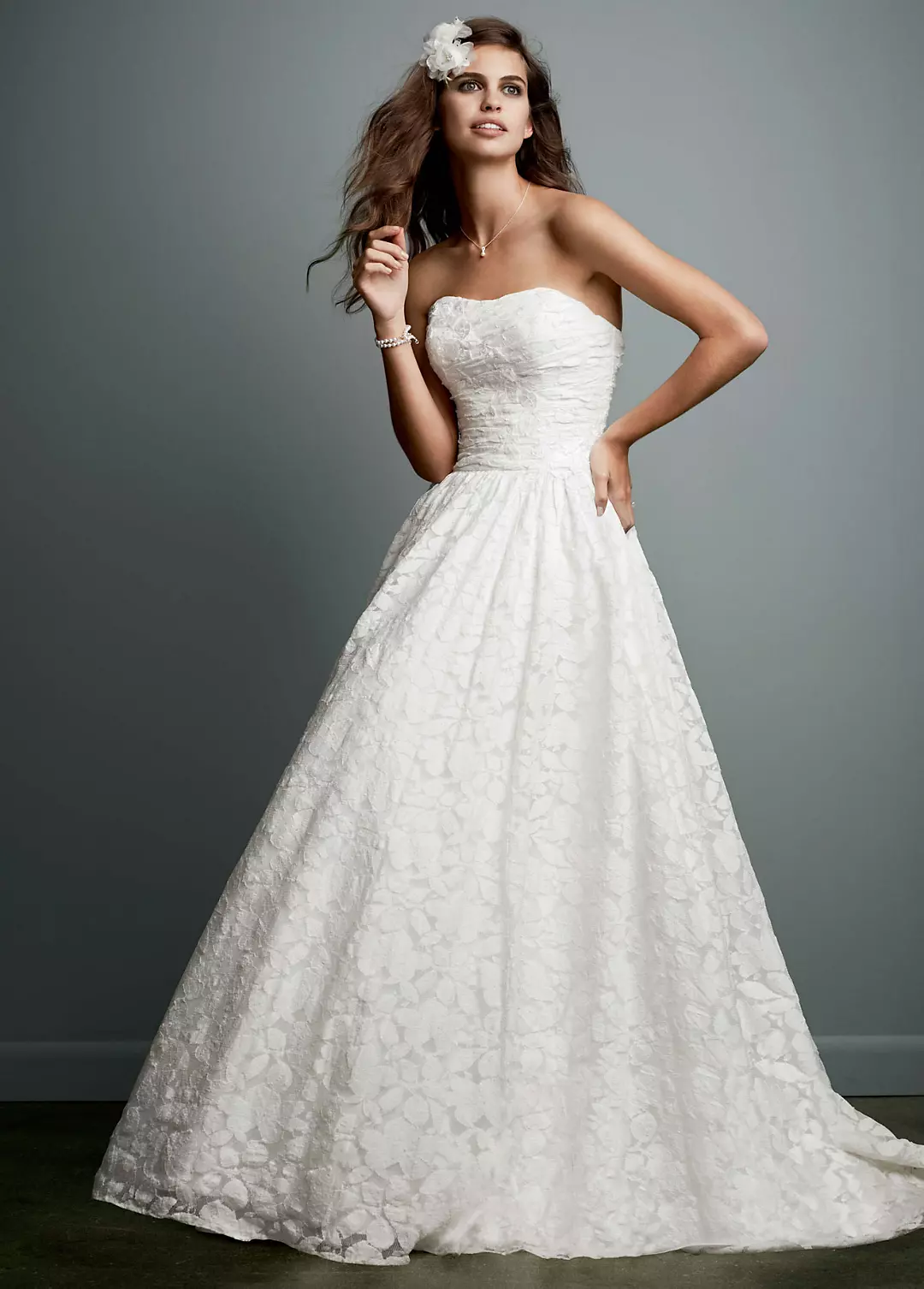 Lace Ball Gown with Intricate Embroidered Details Image