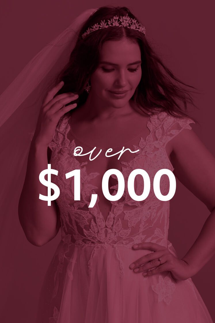 bride in dress with over $1,000 overlay